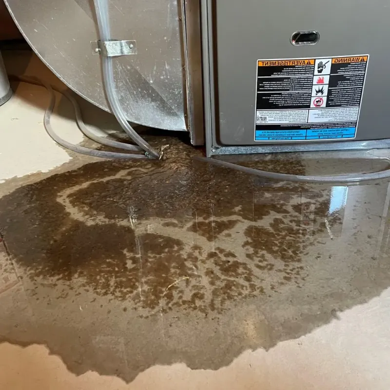 Pipe Burst and Leak Restoration in Harding County, NM