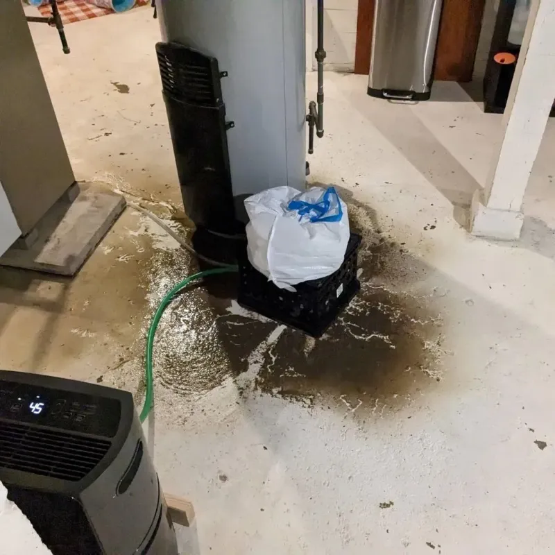 Sewage Backup Cleanup Service in Harding County, NM